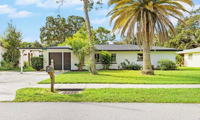 Pinecraft House | Palm Tree Haven