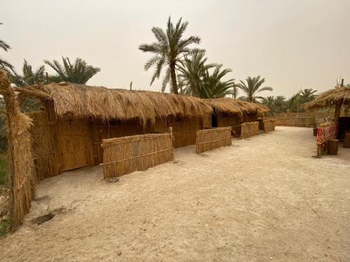Siwa Other | Paloma Camp