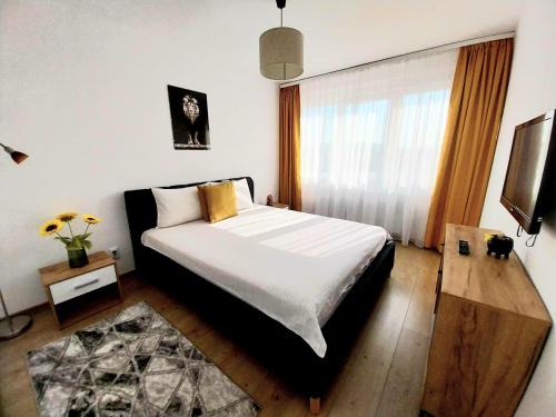 Tirgu Mures Apartment | Panoramic City View Apartment