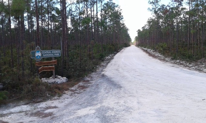 Andros Town Cottage | PARADISE CREEK COTTAGES ON THE BEACH.