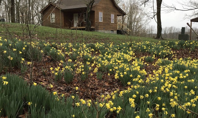 Perks Cabin | Peace, quiet and nature at your back door