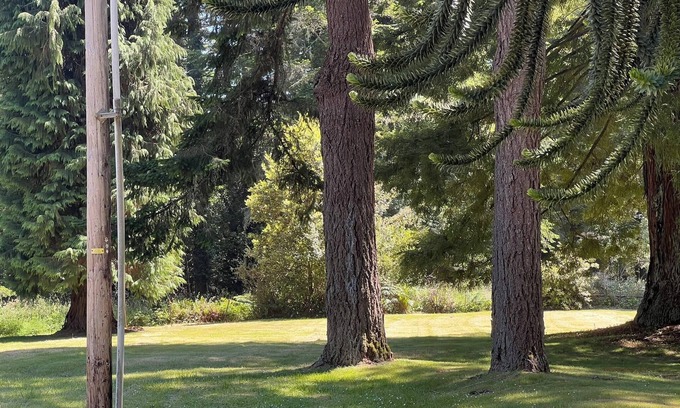 Brookings House | Peace & Quiet at the Dodge House