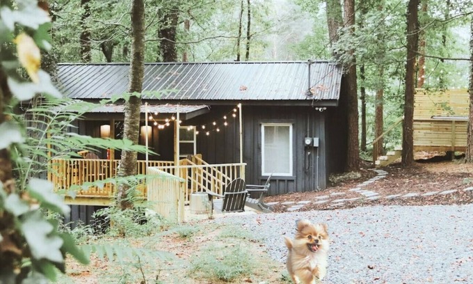 Ellijay Cabin | Peaceful 1br Cabin | Hot Tub | Pets Welcome!