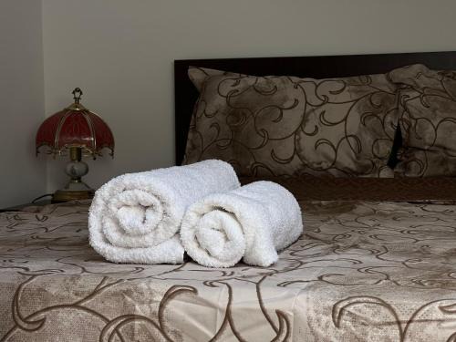 Alba Iulia Apartment | Peaceful Attic Oasis