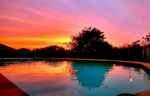 Southeast Arlington House | Peaceful Family Retreat Near AT&T Stadium, Texas Rangers, Six Flags, Epic Waters Indoor Waterpark, DFW Airport & More!