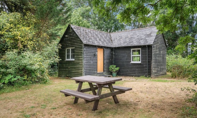 New Forest District Apartment | Peaceful lodge in the New Forest