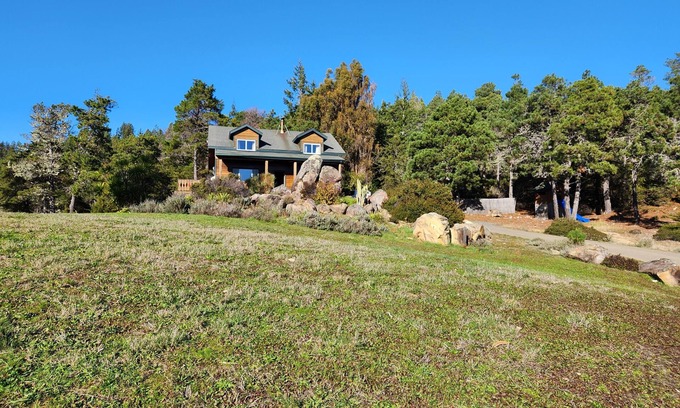 Gualala House | Peaceful Redwood Hollow is large, clean and pet friendly and with room to roam!n
