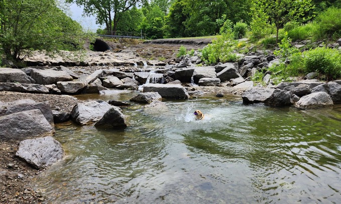 Craneridge Ski Chalet | Peaceful, Rustic Chalet in the Woods; the Heart of Ski, Bike, and Hike country.