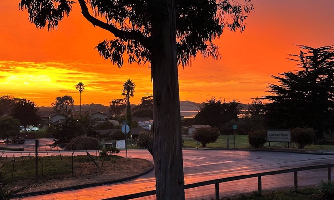 Baywood-Los Osos Apartment | Peaceful Suite by the Bay Pet-Friendly