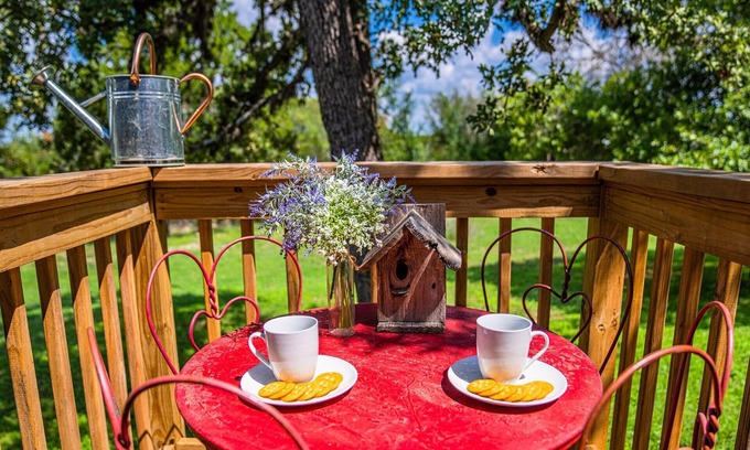 Bandera House | Pelican Haus - Mid-Century Modern <2 min from town!