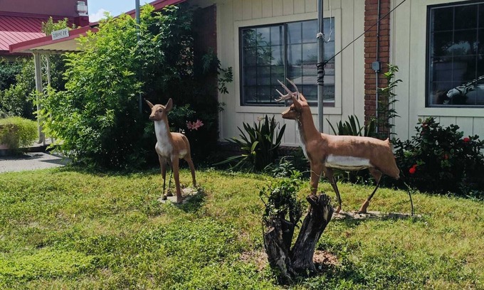 Pharr Hotel | Pen Ann by Capital O Pharr/McAllen TX