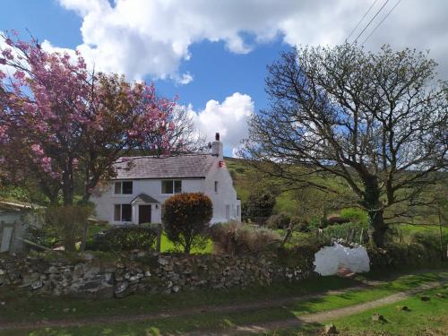 Newport House | Penllain