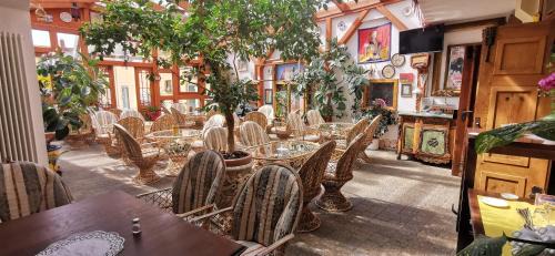 Hochheim House | Pension Hochheimer Schlösschen