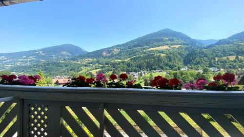 Feld am See House | Pension Julia