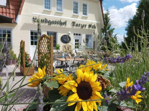 Muritz Hotel | Pension Landgasthof Darzer Eck