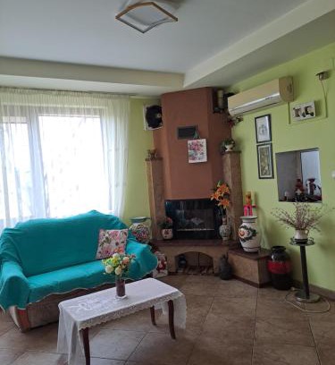 Caseiu House | Pensiunea Daria