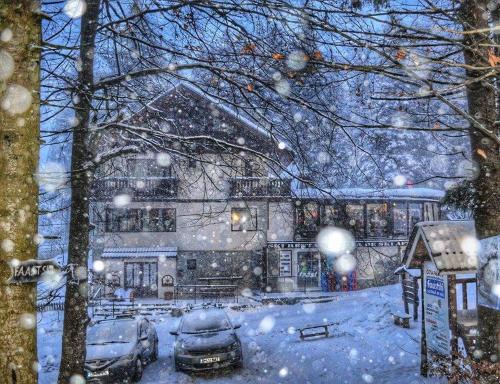 Predeal House | Pensiunea Faast