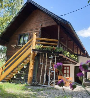 Bran Cabin | Pensiunea Padina
