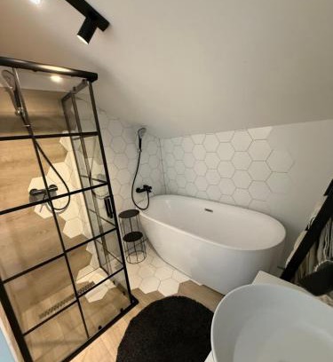 Bistrita Bargaului Apartment | Penthouse Colibița