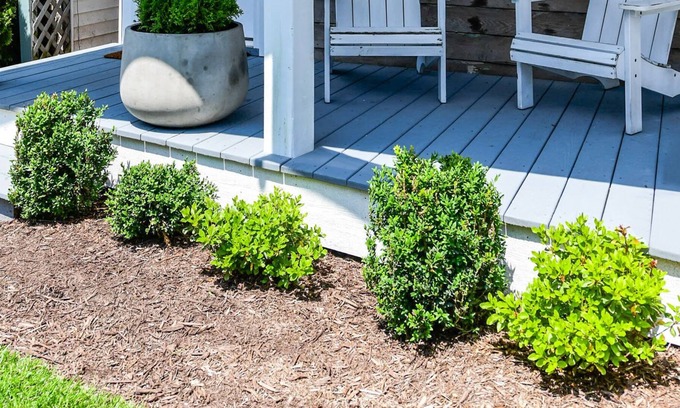 Ocean City Cottage | Perfect 1 Bedroom Cottage Close to the Famous Ocean City Boardwalk!