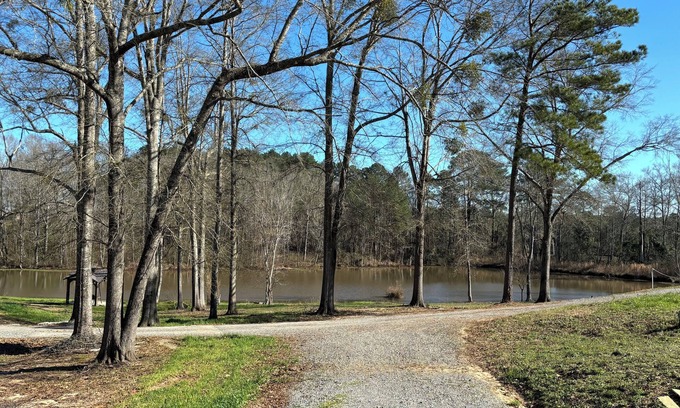 Calhoun Cabin | Perfect cabin with a pond! Peaceful place to fish, kayak or enjoy nature.