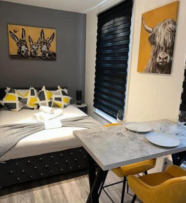 Hillrise Apartment | Perfect Studio Stay - Close to Underground