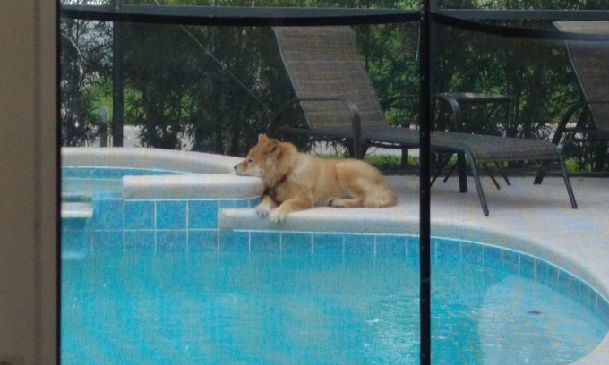 Reunion House | Pet Friendly, 3 Bedroom Home in Reunion Resort with Private Pool and Hot tub