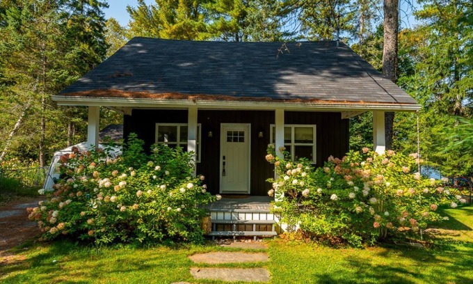 Port Sydney Cabin | Pet Friendly Fall Getaway Waterfront