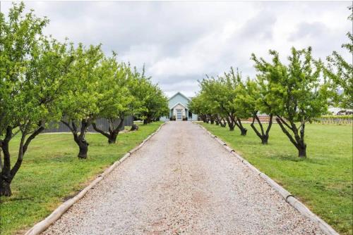 McLaren Vale House | Pethick House