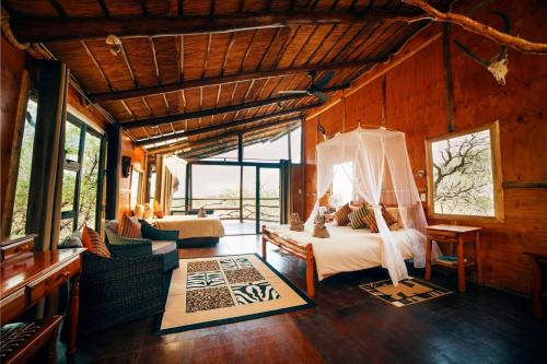 Thorny Bush Game Reserve Cabin | Pezulu Tree House Lodge