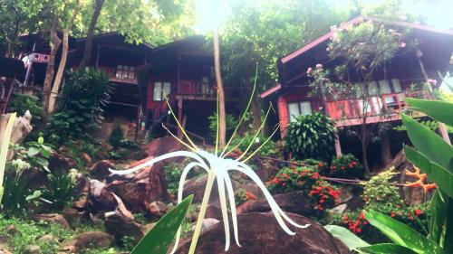Ko Phi Phi Resort | Phi Phi Green Hill Resort