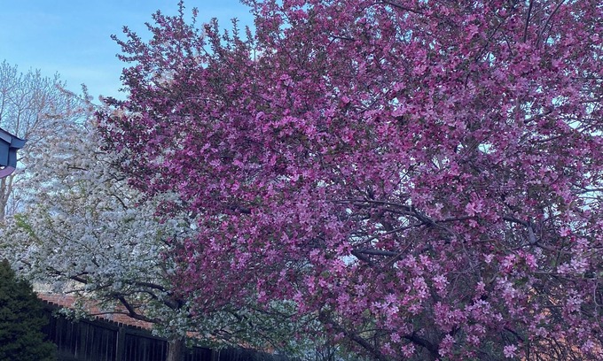 Lafayette House | Piano players welcome in my shared musical home!