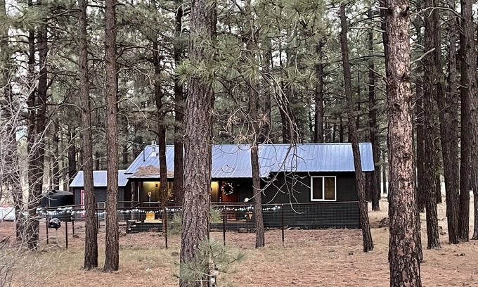 Williams Cabin | Picturesque Cabin in the Woods near Flagstaff and Grand Canyon