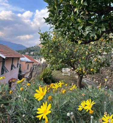 Castellaro Apartment | Piera's House