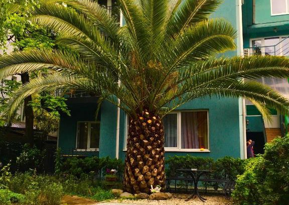 Golubye Dali Hotel | Pijama Guest House