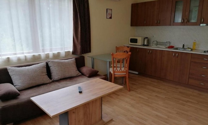 Shiligarnika Apartment | Pine trees apartments