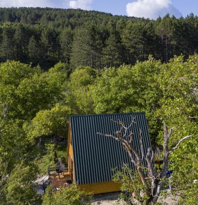 Tsromi Cabin | Pinehouse Urtkhva in Surami