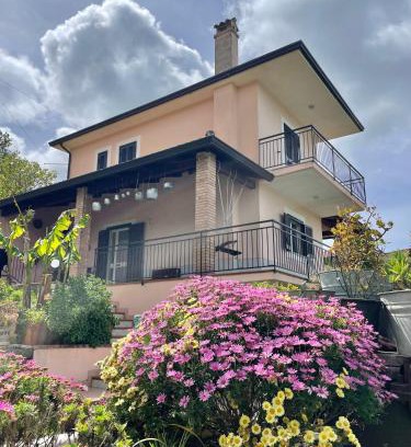 Perdifumo House | Pink House