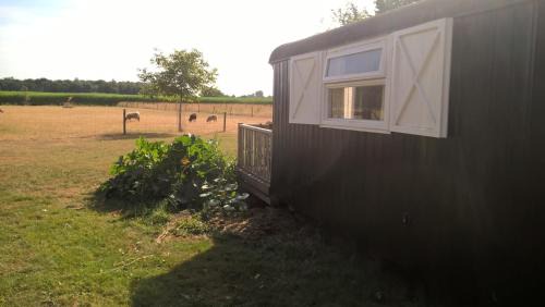 Onstwedde Bed & Breakfast | Pipowagen Lidewei Groningen Westerwolde unieke ligging met eigen tuin en vrij uitzicht over veld naar natuurgebied
