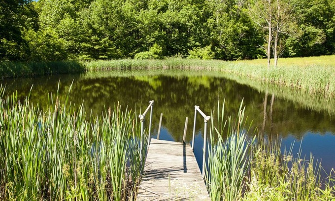 Old Chatham House | Pond View Cottage in Old Chatham WEEKLY & MONTHLY DISCOUNTS OFFERED!!!!
