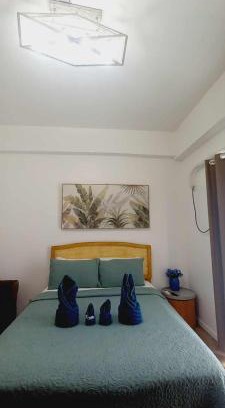 Mactan Export Processing Zone Apartment | Pool View Room 333B Amani Grand Resort near Mactan Cebu Airport Free wifi, netflix, pool and gym house, 3mins to airport