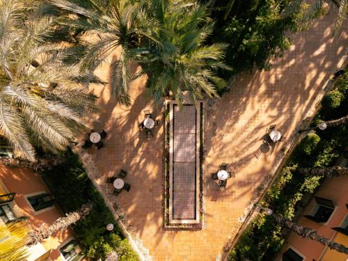 Elche Hotel | Port Jardín Milenio