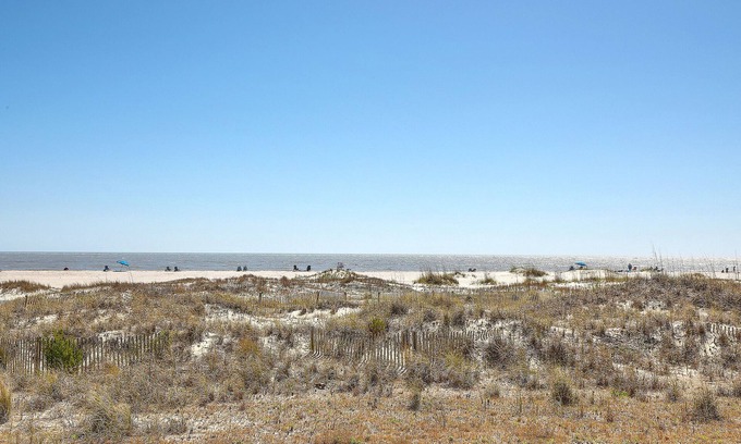 Isle of Palms Condo | Port O' Call B103 - Oceanfront Oasis! Walkout!