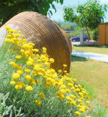 Thasos Town House | Port Rooms Pet Friendly