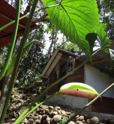 San Luis Hotel | Posadas Entre El Bosque