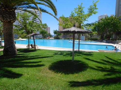 Cabo de las Huertas Apartment | Precious Apartment in Alicante, Playa San Juan
