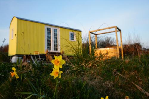 Kilgetty House | Primrose