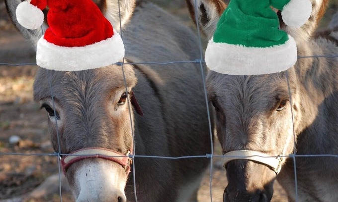 Cape Fair Other | Private Beautiful Farmstead in Branson Country, Roomy indoor/outdoor spaces.