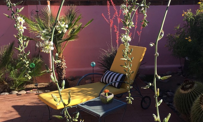 Tucson House | Private bedroom and bath across from the U of A and TMC. Hot tub & BBQ