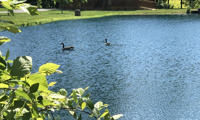 Russell Springs Cabin | Private Catch & Release Lake - Boat Rental Included! Close To Lake Cumberland!